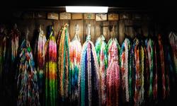 Featured image of post 日本巡礼随记 01