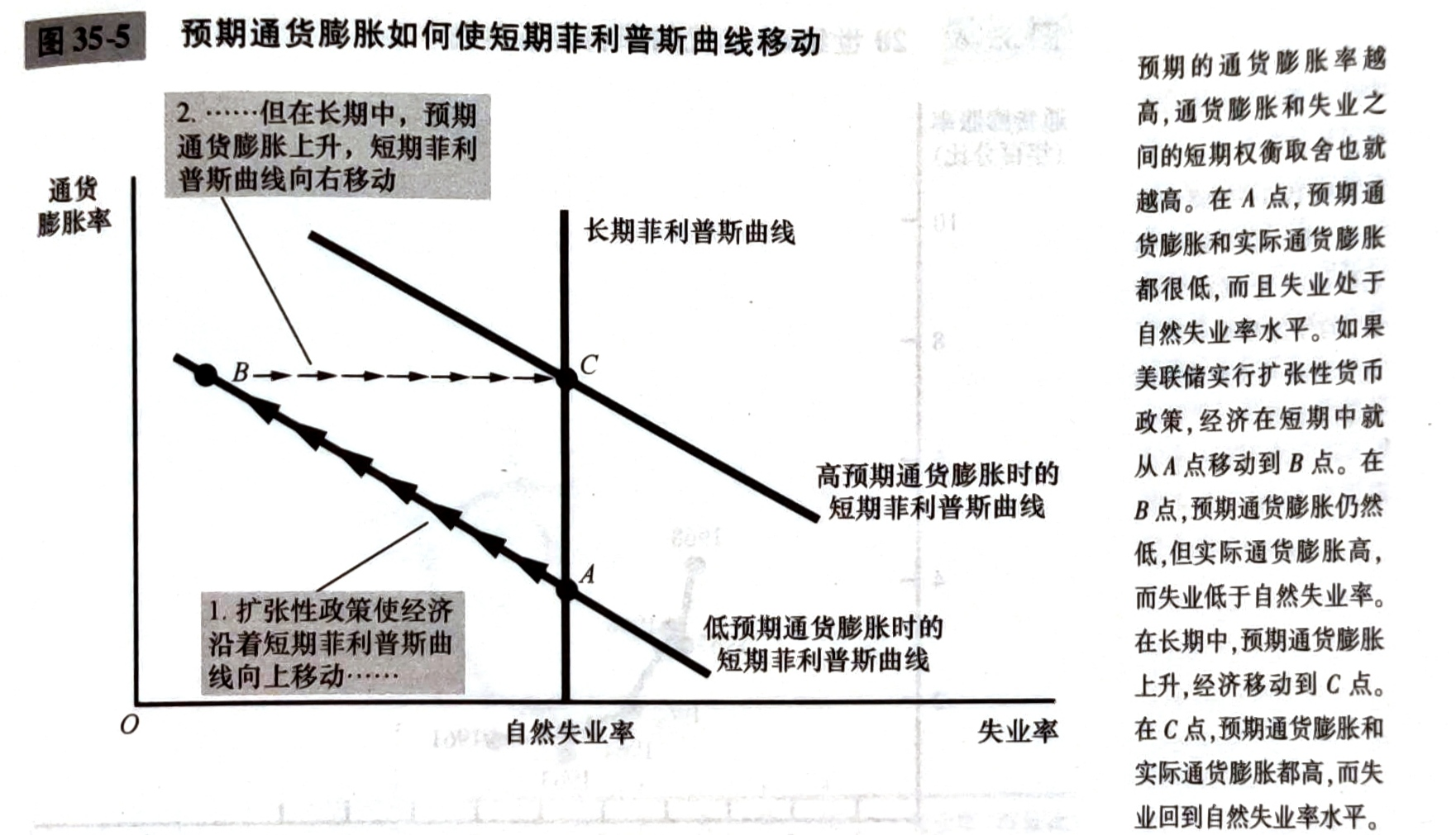 image-20220803000958833